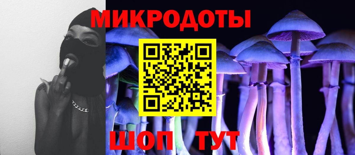 Энгельс  Псилоцибиновые грибы мухоморы  цена   Галлюциногенные грибы Psilocybe  Вход с VPN 